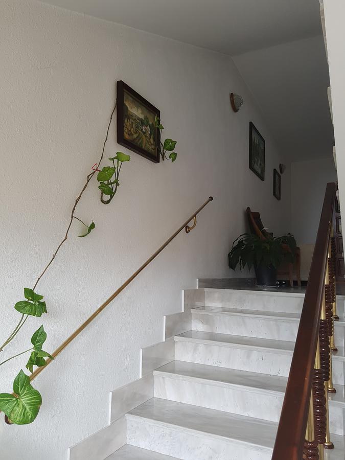 Hotel Mishel Kocherinovo Εξωτερικό φωτογραφία
